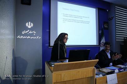 Meimanat Hosseini-Chavoshi has co-authored several reports with Mohammad Jalal Abbasi-Shavazi, the head of the Population Association of Iran