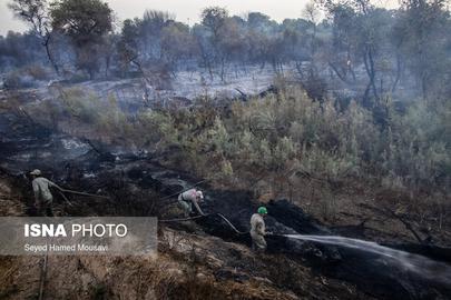 Huge Forest Fire Extinguished in Khuzestan