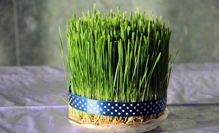 Celebrating Norooz in Prisons