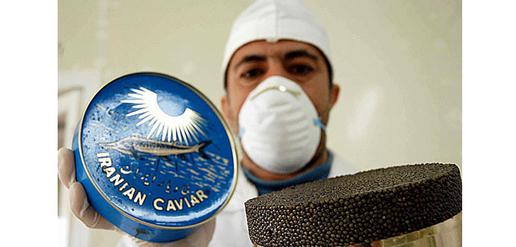 Iranian caviar packed at a facility in Bandar-e Anzali, Iran