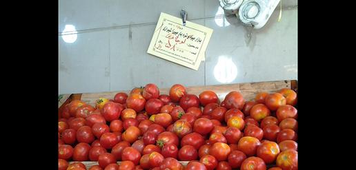 Rouhani Attacked For Surge in Tomato Prices