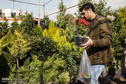 Nowruz is Almost Here