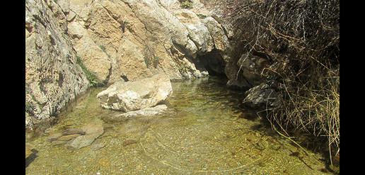گزارش تصویری از منطقة نمونه گردشگری فرحزاد مجن
