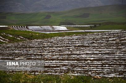 An Environmental Alarm Bell: Iran’s Plastics Farms