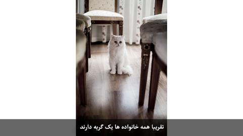 مجموعه عکسهای مندی تی، عکاس سنگاپوری از ایران