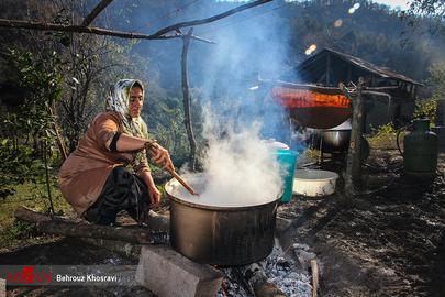 Women's Lives in Rural Iran