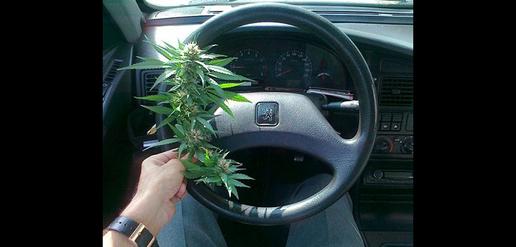 How the Cannabis Leaf Became a Fashion Statement