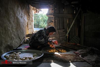 Women's Lives in Rural Iran
