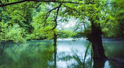 Our Iran: The Beautiful Lake Chort
