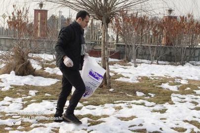 Kaveh Madani leads a team cleaning Pardisan Park in Tehran, February 2018