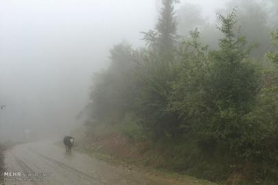 Dohezar's Mountain Retreat