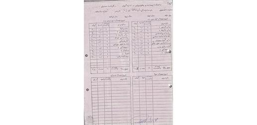 کارنامه تحصیلی تونیا ولی اوغلی