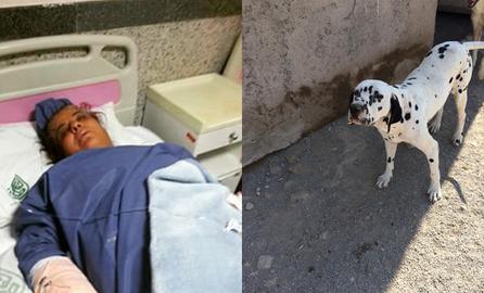 Residents Attack Dog Shelter Owner with Machete