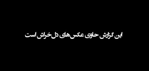 شعله رئوفی در آتش سوخت؛ همراه با گربه‌هایش