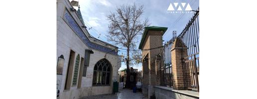 چنار قدیمی داخل امامزاده یحیی