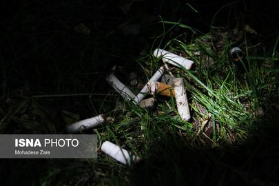 Toxic Cigarettes Ruin Iran’s Wildlife Habitat