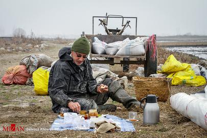 Celebrating the Rice Harvest in Gilan