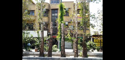 قتل عام چنارهای ولیعصر با مترو