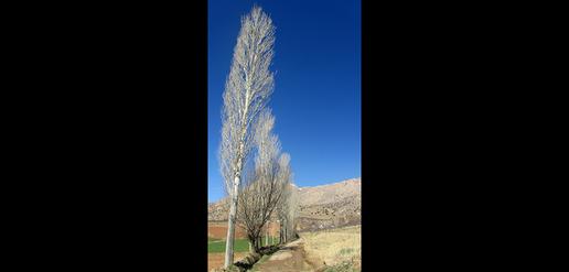گزارش تصویری از منطقة نمونه گردشگری فرحزاد مجن