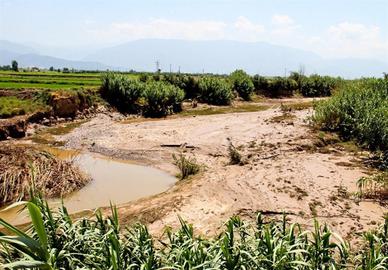 خسارت ۵۱۰ میلیارد ریالی بارش‌ها به کشاورزی استان ‌فارس