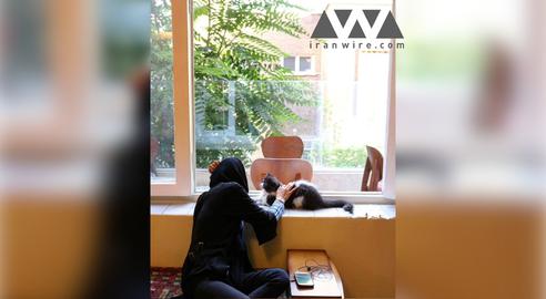 کافه‌نشینی با میزبانی گربه‌ها