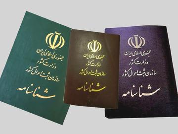 مصوبه اولیه مجلس شورای اسلامی می‌گفت مادر ایرانی می‌تواند برای فرزندش که پدر غیر ایرانی دارد، درخواست تابعیت کند. اما پس از ۱۸ سالگی، خود فرزند می‌تواند چنین درخواستی را مطرح کند.