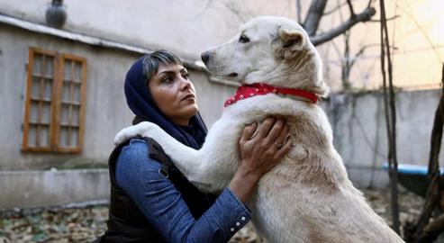 New Bill Threatens to Criminalize Owning Pets in Iran