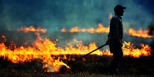 گروه بزرگی از جنگلبانان منطقه، روستائیان و طرفداران محیط‌زیست در چند استان شبانه‌روز روی شیب تند کوهستان بر سر آتش کوبیدن