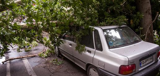 Tehran Storm Leaves Four Dead and More Than 50 Injured