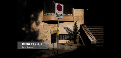 Tehran's Answer to Whiteflies