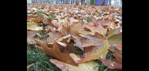 An Almighty Autumn in Ilam