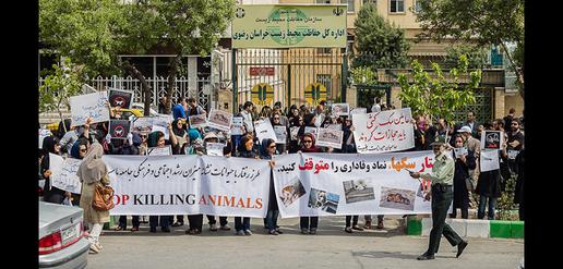 "Stop killing animals" 