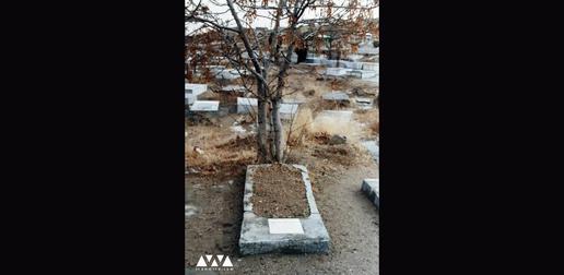 مزار ناصر سبحانی در قبرستان شهر قروه تنها با درختی که پدر او کاشته است قابل شناسایی است.