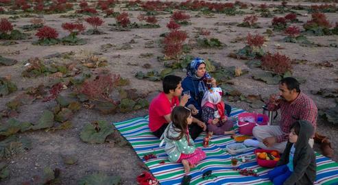 A family has a desert picnic on the outskirts of their town