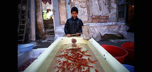 Nowruz Shopping on the Streets of Iran