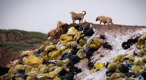 Mountains of Hospital Waste in Southern Tehran
