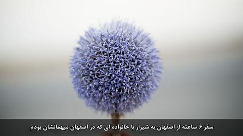مجموعه عکسهای مندی تی، عکاس سنگاپوری از ایران