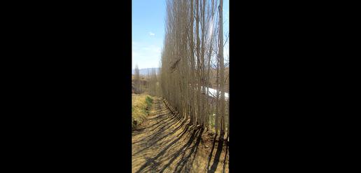گزارش تصویری از منطقة نمونه گردشگری فرحزاد مجن