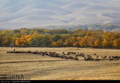 Autumn in Iran