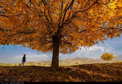 Autumn in Iran