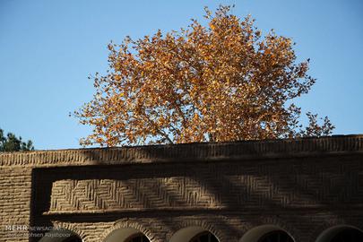 پاییز در باغ شاهزاده ماهان کرمان