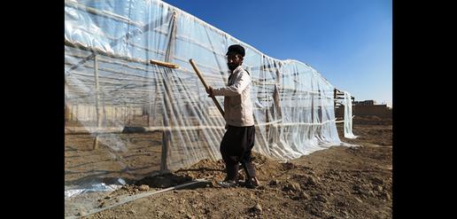 کشاورزی مدرن به روش سنتی