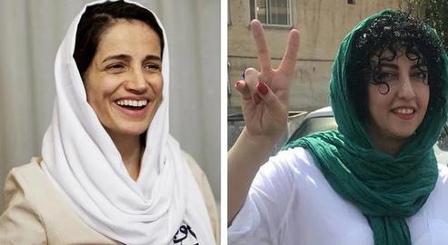 Prominent activists such as Nasrin Sotoudeh and Narges Mohammadi have decried women's only parks as a step toward segregation and exclusion