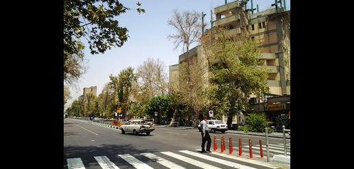 قتل عام چنارهای ولیعصر با مترو