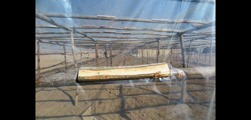 کشاورزی مدرن به روش سنتی