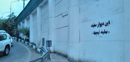 پل سید خندان. اعتراض به سفید کردن گرافیتی: این دیوار سفید، سفید نیست.