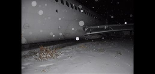 Plane Nearly Crashes in Mashhad