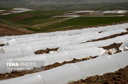 An Environmental Alarm Bell: Iran’s Plastics Farms