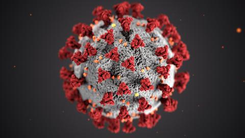ویروس کرونا همچنان در سراسر دنیا پخش می‌شود، و سویه‌های جدید و مسری‌تر آن، از موفق‌ترین و سریع‌ترین تولیدات واکسیناسیون نیز پیشی گرفته‌اند.