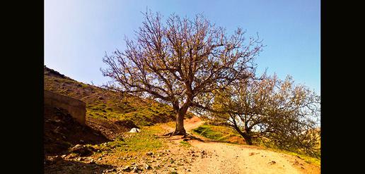 طبیعت آذربایجان